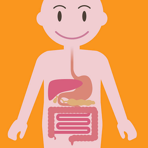 Common detox symptoms and how to support your body!