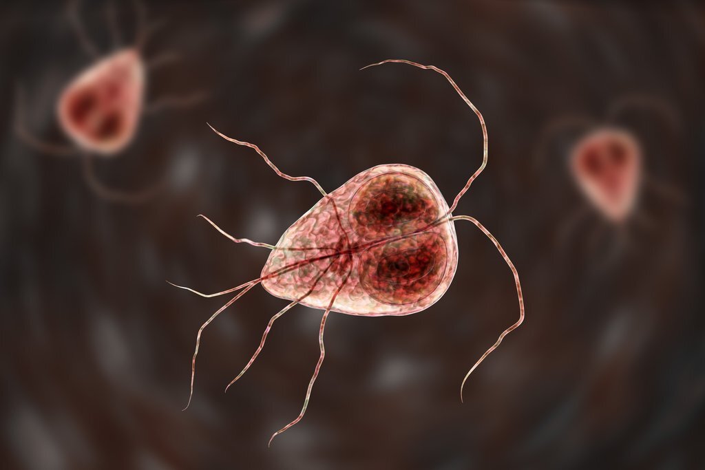 Parasites: Types, Symptoms and the BEST Natural Cleanse