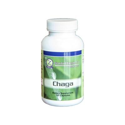 Chaga Vitamin Standard Enzyme Company 