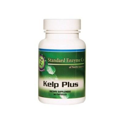 Kelp Plus Vitamin Standard Enzyme Company 