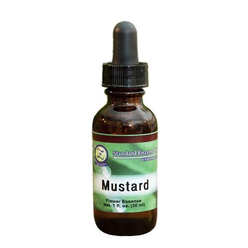Mustard Vitamin Standard Enzyme Company
