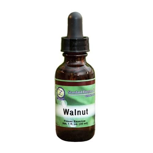 Walnut Vitamin Standard Enzyme Company 