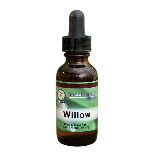 Willow Vitamin Standard Enzyme Company 