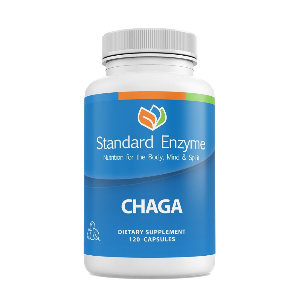Standard Enzyme Chaga — bottle