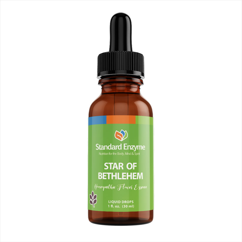 Standard Enzyme Star of Bethlehem — 1 oz dropper