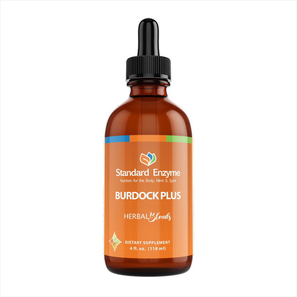 Standard Enzyme Burdock Plus — herbal tincture