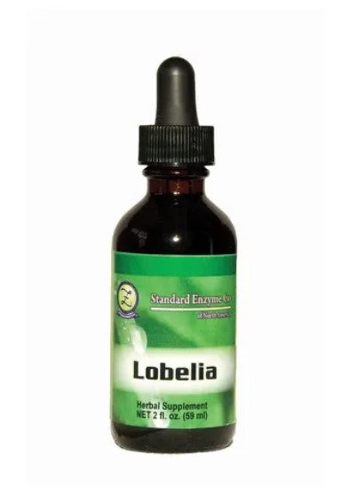 Lobelia