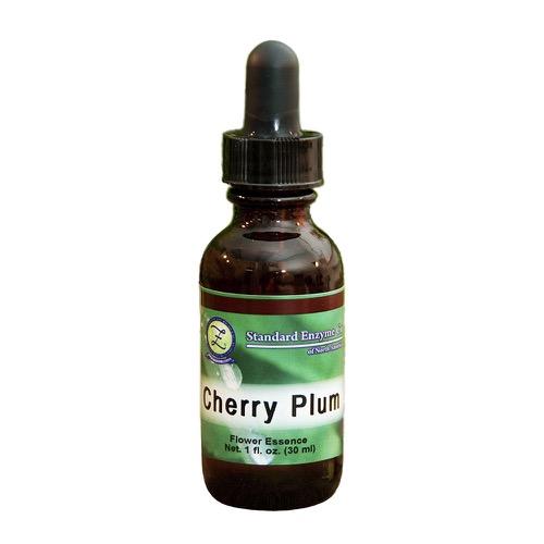 Cherry Plum Vitamin Standard Enzyme Company 