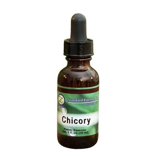 Chicory Vitamin Standard Enzyme Company 