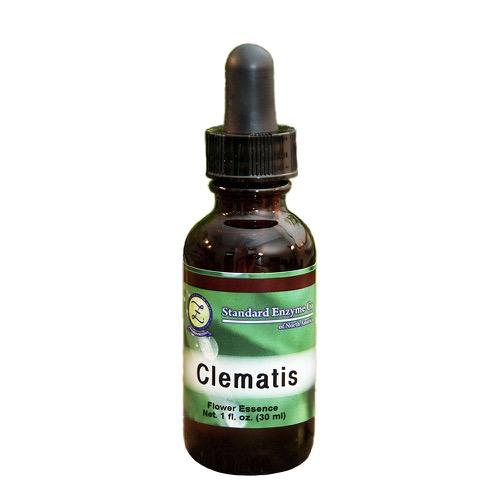 Clematis Vitamin Standard Enzyme Company 