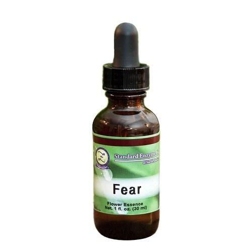 Fear Vitamin Standard Enzyme Company 