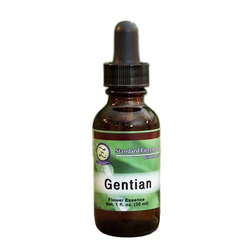 Gentian Vitamin Standard Enzyme Company 