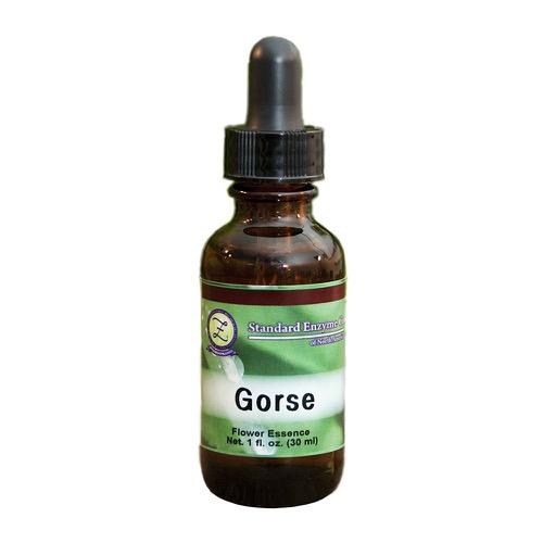 Gorse Vitamin Standard Enzyme Company 