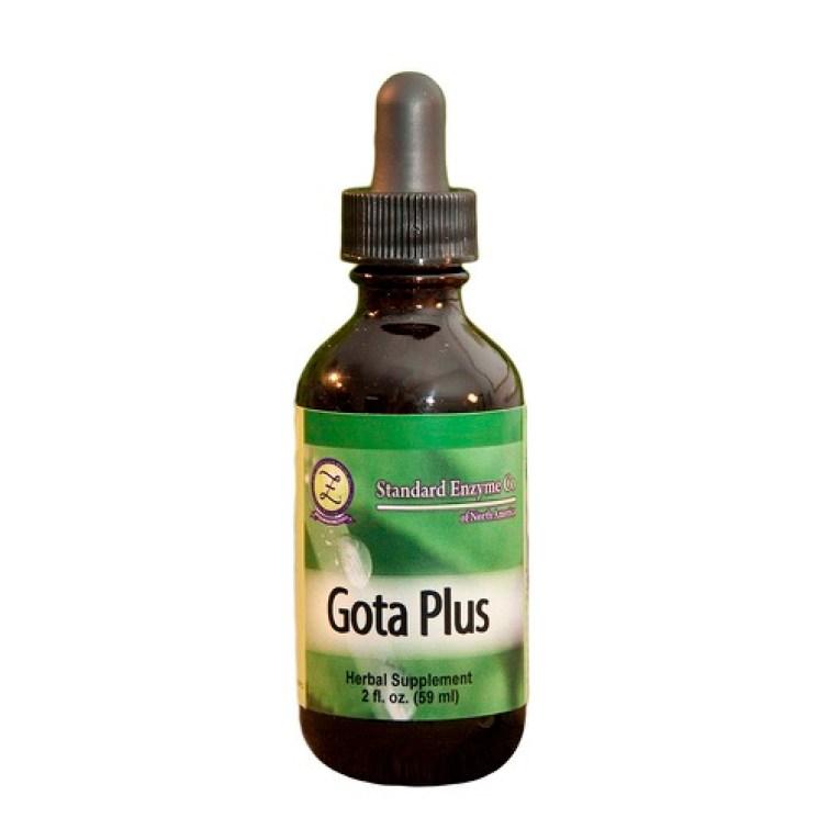 Gota Plus Vitamin Standard Enzyme Company 