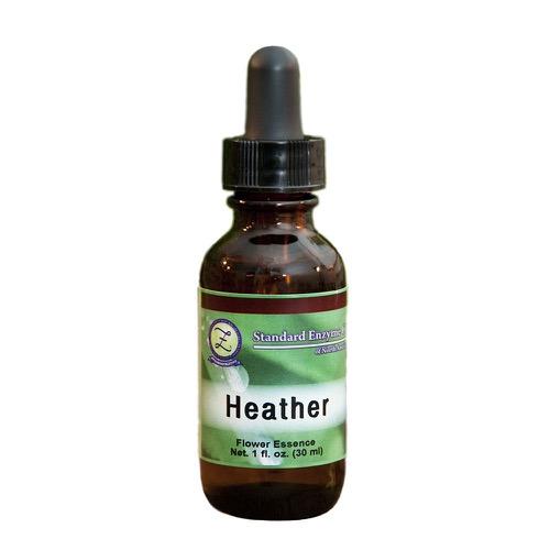 Heather Vitamin Standard Enzyme Company 