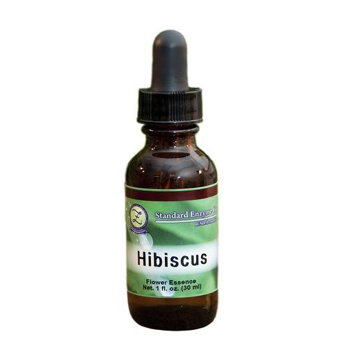 Hibiscus Vitamin Standard Enzyme Company 