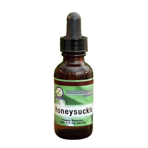 Honeysuckle Vitamin Standard Enzyme Company 