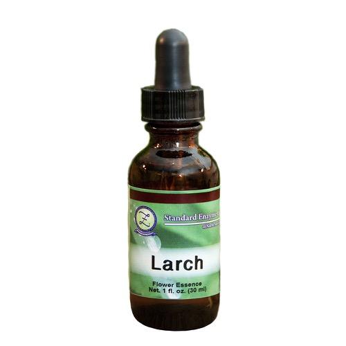 Larch Vitamin Standard Enzyme Company 