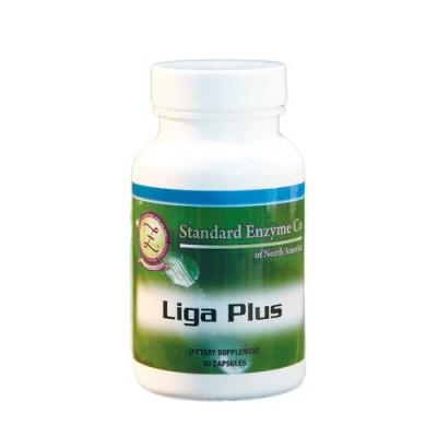 Liga Plus Standard Enzyme Company 