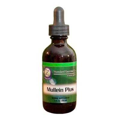 Mullein Plus Vitamin Standard Enzyme Company 