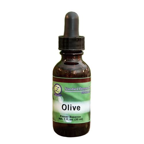 Olive Vitamin Standard Enzyme Company 