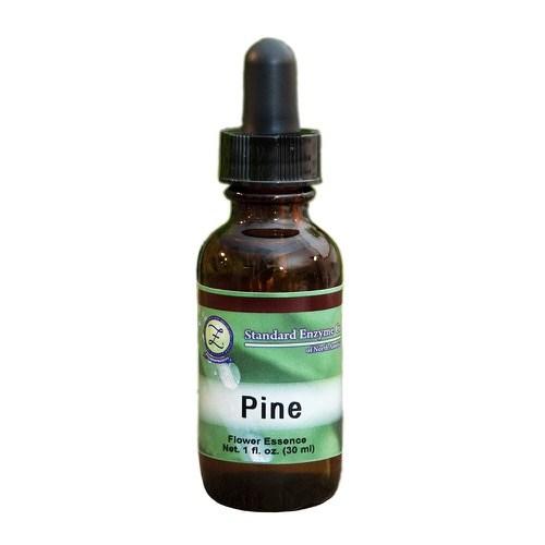 Pine Vitamin Standard Enzyme Company 