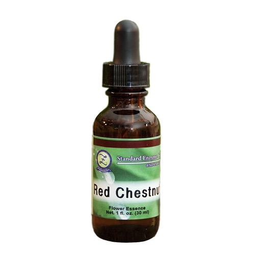 Red Chestnut Vitamin Standard Enzyme Company 