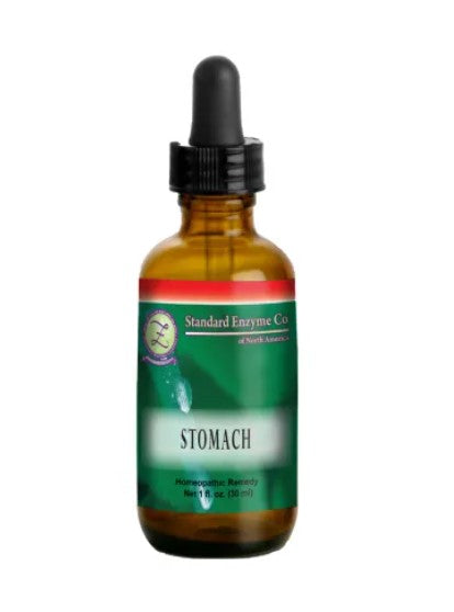 Stomach