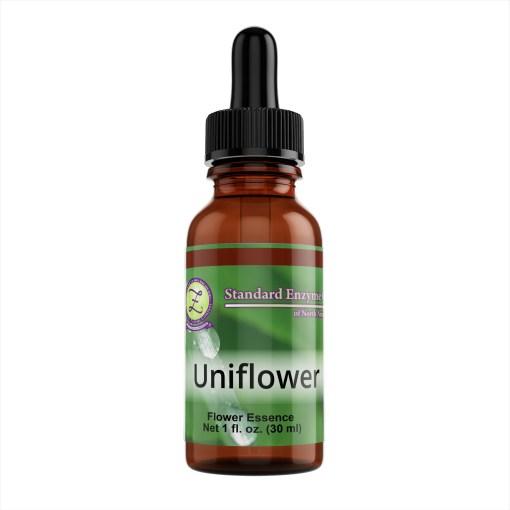 Uniflower Vitamin Standard Enzyme Company 