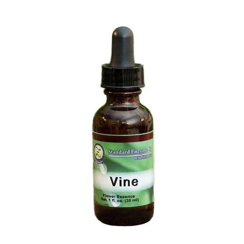 Vine Vitamin Standard Enzyme Company 